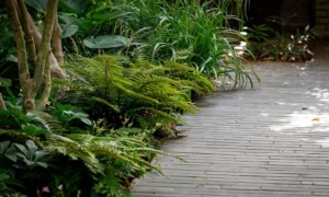Pavage ardoise et massif planté