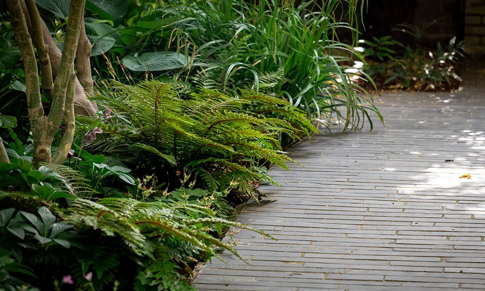 Pavage ardoise et massif planté