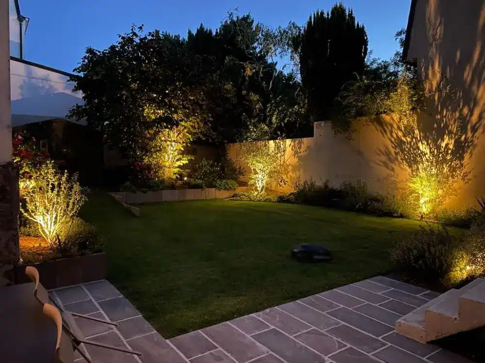Mise en scène d'un jardin de nuit grâce à l'éclairage d'ambiance